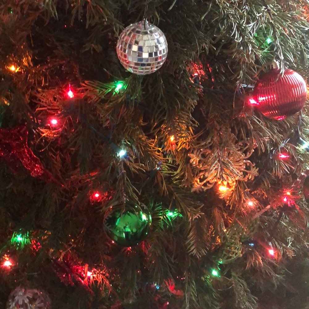 Meet your Posher, Phyllis